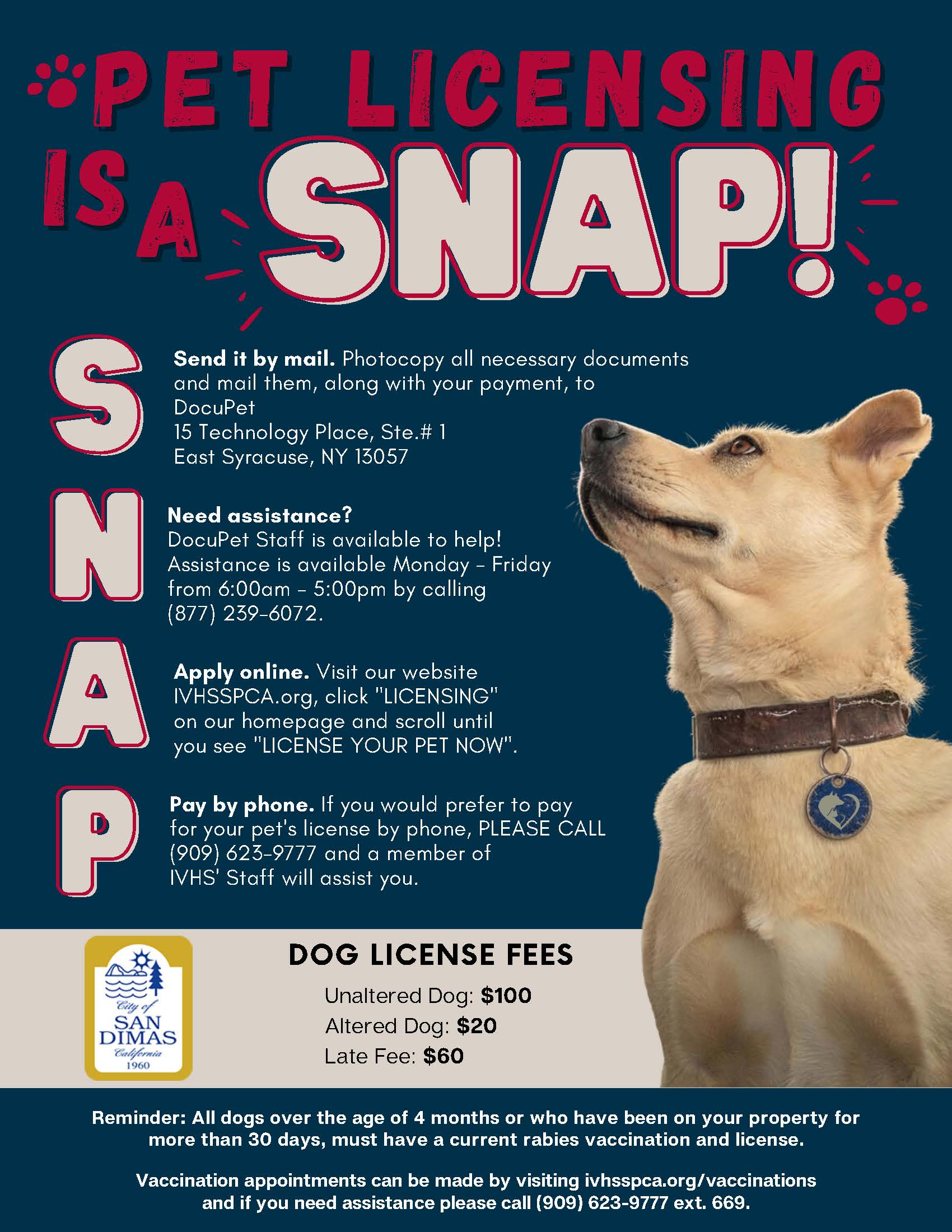 SNAP Pet Licensing